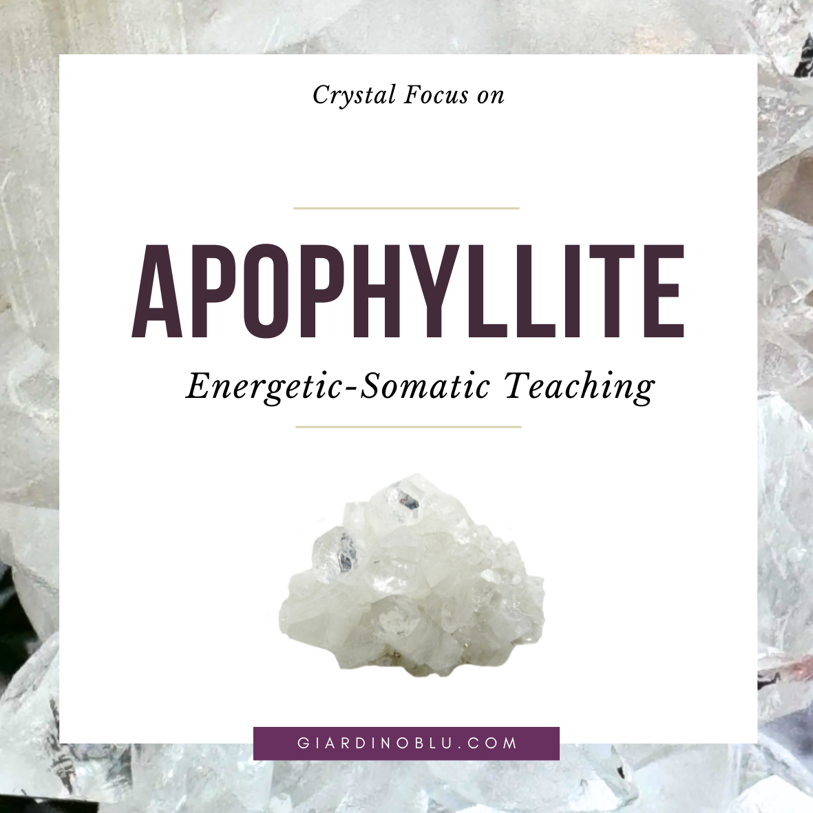 Apophyllite: The Bioenergetic Influence | Crystal Energy Focus