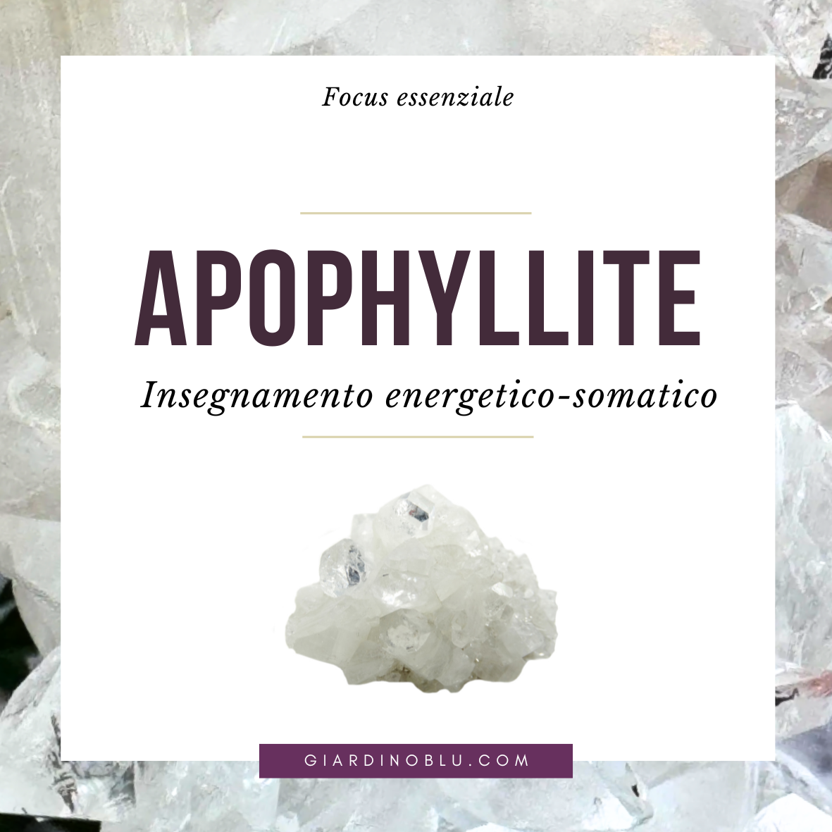 Apophyllite - insegnamento energetico-somatico