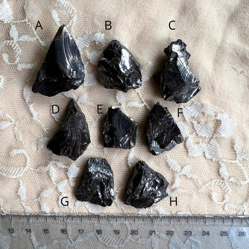 Silver Shungite (Elite Shungite) Statement Ring - Made to Order -